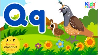 Animals That Start with Letter Q  Learn Animal Names  English Vocabulary for Kids [upl. by Idou901]