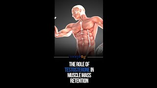 Testosterone and Its Role in Muscle Mass Retention in Men [upl. by Jackqueline]