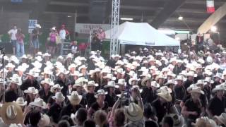 Firestorm line dance  UNITED COUNTRIES  Voghera Country Festival 2012 [upl. by Anizor463]