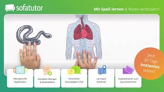 Zentrales und peripheres Nervensystem einfach erklärt – Biologie 7  10 Klasse [upl. by Montgomery]