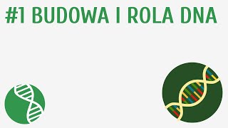 Budowa i rola DNA 1  Genetyka [upl. by Shaylynn]