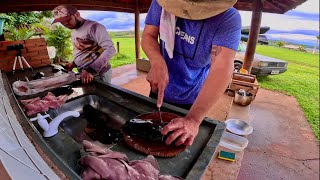 MUITA CHUVA E MUITO PEIXE Preparamos Filé de Peixe Frito e Sashimi Camaronês [upl. by Rintoul]