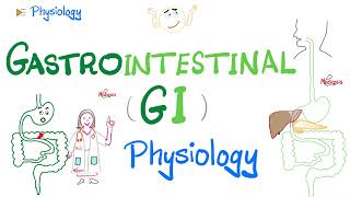 Gastrointestinal GI Physiology…The Basics Introduction  Physiology Series [upl. by Nika]