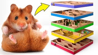 Un Incredibile Labirinto faidate di 5 Livelli per Criceti Attivi 🐹 [upl. by Olsen]