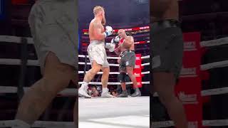 Ringside highlight of paultyson jakepaul miketyson [upl. by Tyre]