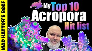 My Top 10 Acropora Hit List [upl. by Sluiter284]