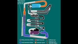 Absorption coolingheating principle animation [upl. by Helali]