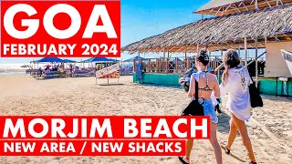 Morjim Beach  February 2024  Goa Vlog  North Goa  Famous Russian Beach  Shacks amp Prices [upl. by Seaddon]