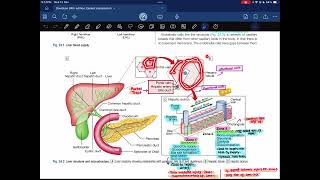 Hepatology03 Davidson  Medicine [upl. by Delmer]