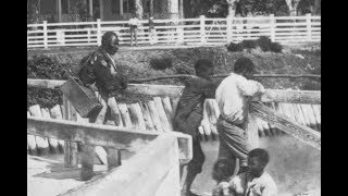 Rare Vintage Photos of Slavery in Antebellum South Carolina From the 1850s1860s [upl. by Hanleigh]