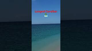 Kalanggaman Island Longest Sandbar 🏝 subscribe travel shorts philippines [upl. by Coney]