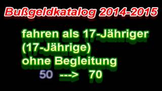 Bußgeldkatalog 20142015 [upl. by Ayekram706]