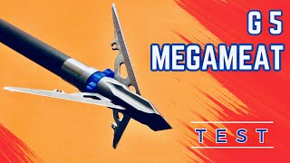 G5 MEGAMEAT 100 gr Broadhead Test [upl. by Carly]