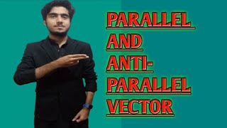 Parallel and antiparallel vectors [upl. by Inava]