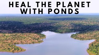 Heal the Planet with PONDS [upl. by Ennaylil]