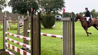 Fellside Don Zee 5th 110 hickstead 040924 [upl. by Molohs]