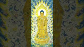 40 Minutes of Amitabha Buddha 5MelodyVariation Recitation  Amitofo Nianfo [upl. by Esinehs658]