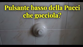 Sostituiamo il pulsante del WC che perde acqua [upl. by Broeder69]