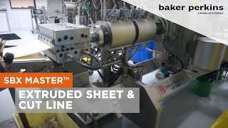 Extruded Sheet amp Cut Line for Snack Food Products [upl. by Ursas283]