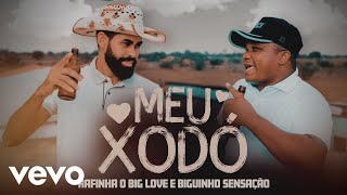 MEU XODÓ Rafinha o Big Love e Biguinho Sensação CLIPE OFICIAL [upl. by Sharia]