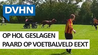 Voetballers in Eext ontwijken op hol geslagen paard [upl. by Rehsu]