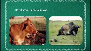 30062017  SALA DE AULA  Sanidade Animal  Tayrone Prado [upl. by Pernick]