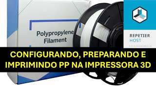 Configurando e Imprimindo PP na Impressora 3D [upl. by Danieu835]