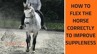 How to Flex the Horse correctly with Kirstin Kelly [upl. by Yhprum838]