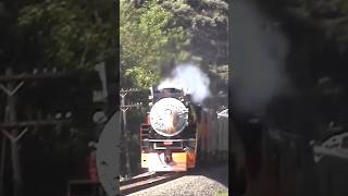 High Speed Pass of the SP4449 Daylight steam train [upl. by Yahc]