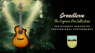 Breedlove Organic Pro Guitar Collection Overview with Designer Angela Christensen [upl. by Carlye]