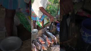 Mo gan re Fish market bangalore food odisha [upl. by Woodson]