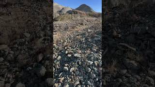 Hunting the ever elusive fairburn agate Soooooo much rock to go through agatehunting fairburn [upl. by Higginson]