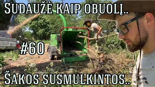 Sudaužė kaip obuolį Šakos susmulkintos 60 [upl. by Dianemarie]