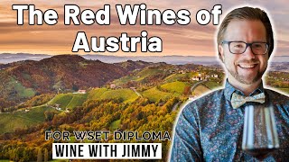 Exploring the red wines of Austria for WSET Level 4 Diploma [upl. by Onaled]