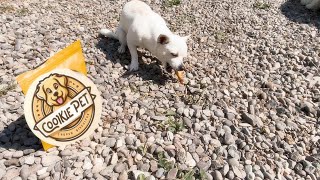 🐔 Snacks naturales que tu perro AMARÁ Pata de pollo deshidratada  Cookie Pets Chile [upl. by Burbank]