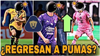 ✅ REGRESAN🔥LOS 3 PEDIDOS DE GUSTAVO LEMA  LLEGARÍA A PUMAS  REFUERZOS PUMAS 2024 [upl. by Isborne]