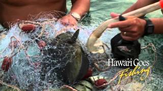 Hawaii Goes Fishing episode HGF308 promo [upl. by Gwendolen]