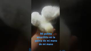 Mi pollito amarillito [upl. by Skier]