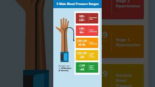 Whats a normal blood pressure range [upl. by Kwan797]