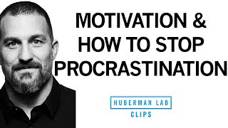 How to Stop Procrastination amp Increase Motivation  Dr Andrew Huberman [upl. by Olsewski]