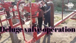 Deluge valve operation How to operate deluge valvedv valveDeluge valve detailsdelugevalve dv [upl. by Ailaham]