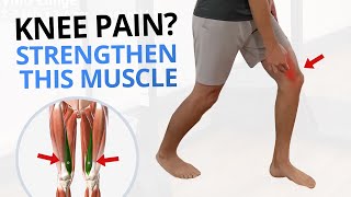 4 Quadriceps VMO Strengthening Exercises for Painful Knees [upl. by Calley]