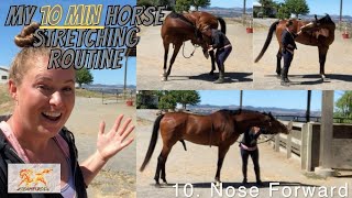 Horse Stretching Routine Develop Topline amp Balance [upl. by Esile]