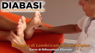 Corso Riflessologia Plantare  DIABASI® Scuola Professionale di Massaggio [upl. by Nakre818]