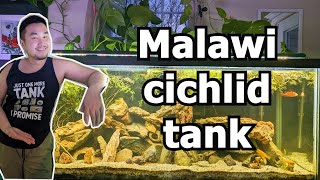 rescape my planted Malawi cichlid tank [upl. by Oak]