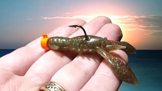 Ned Rig Fishing with Creature Baits in Port Phillip Bay [upl. by Valoniah]