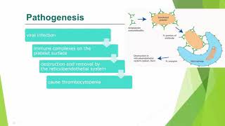 immune thrombocytopenic purpura types diagnosis and differential diagnosis in Urduhindi [upl. by Sidnal502]