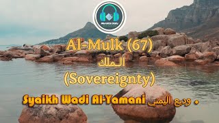 Heart soothing recitation  Syaikh Wadi Al Yamani وديع اليمني  Surah AlMulk  سورة الملك fyp [upl. by Kus416]