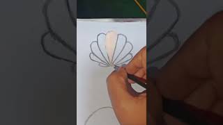 seashell paintings creative creative drawing paintingideas [upl. by Olim]