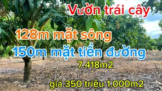 Vườn trái cây new sông mát mẻ quanh năm [upl. by Alemac]